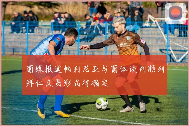 葡媒报道帕利尼亚与葡体谈判顺利拜仁交易形式待确定